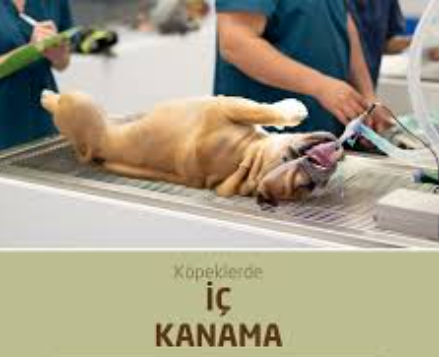 İç Kanama Riski